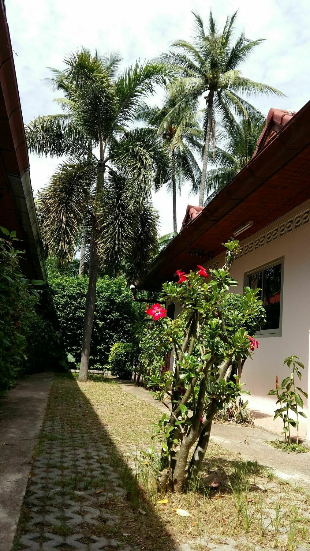 Saver Guesthouse 차웽 외부 사진