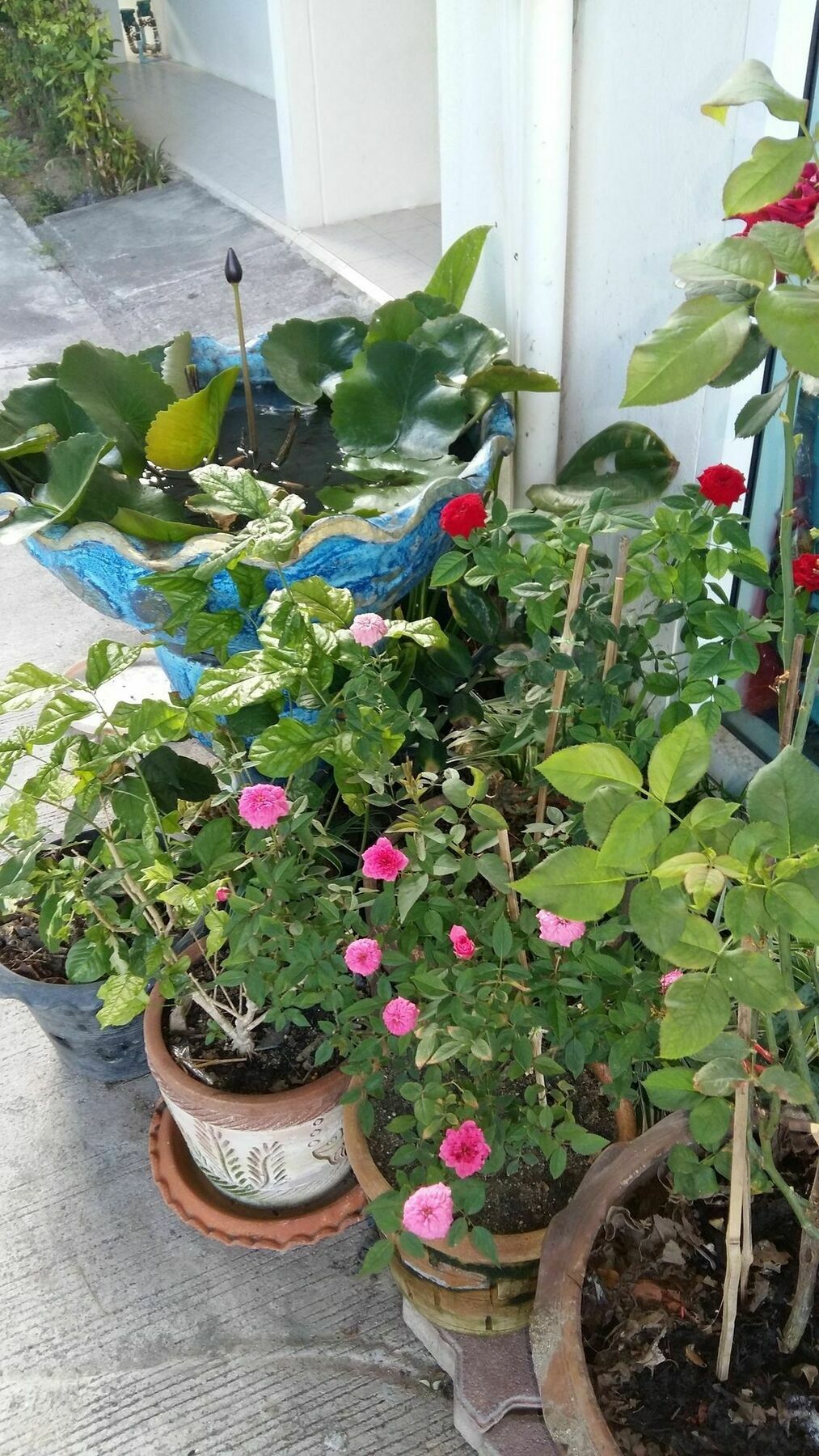 Saver Guesthouse 차웽 외부 사진
